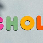 Psicología UNED Plan de Estudios CID zaragoza